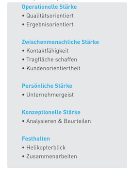 Beispiel Kompetenz Profiler.png