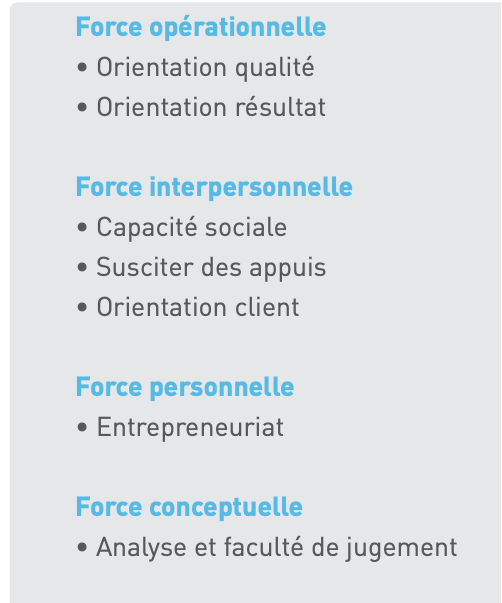Exemple de profil de compétences.png