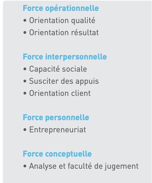 Exemple de profil de compétences.png