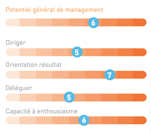 Potentiel général de management.png